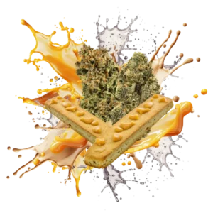 Flav Duo Butterscotch Biscotti & Sunset Cannabis Strains