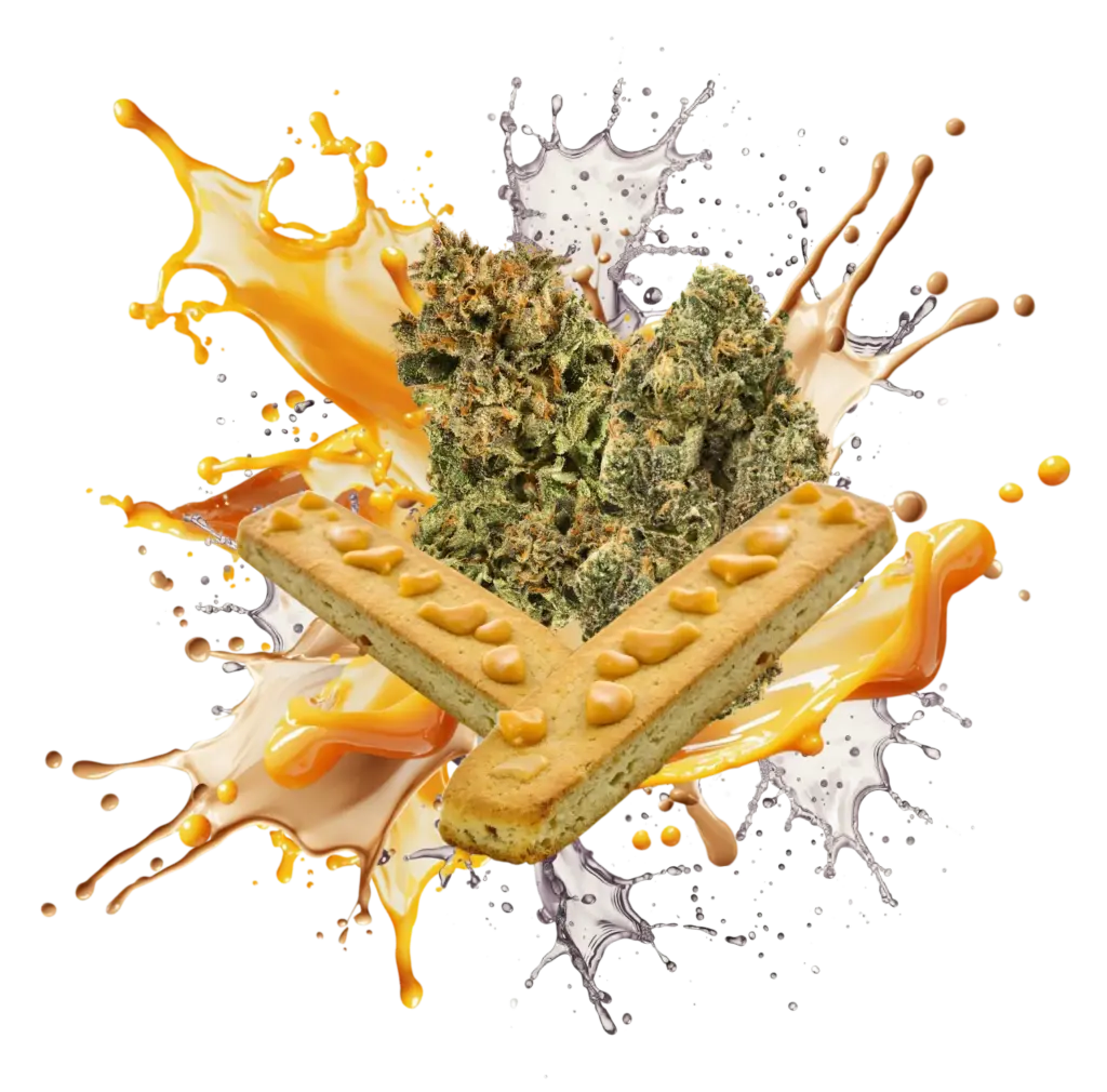 Flav Duo Butterscotch Biscotti & Sunset Cannabis Strains Flav Duo Butterscotch Biscotti & Sunset Cannabis Strains