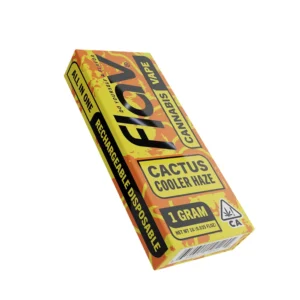 Flav Disposable Cactus Cooler 1G