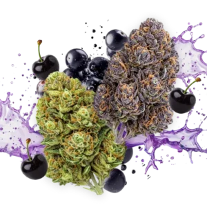 Flav Duos Black Cherry Gelato & Grape Soda Cannabis Strains