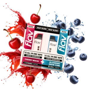 Flav Disposable Blueberry Snowcone - SNAP Duo Vapes 2G