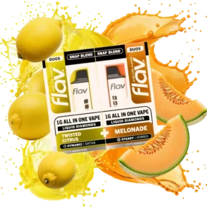 Flav Disposable Melonade – SNAP Duo Vapes 2 g