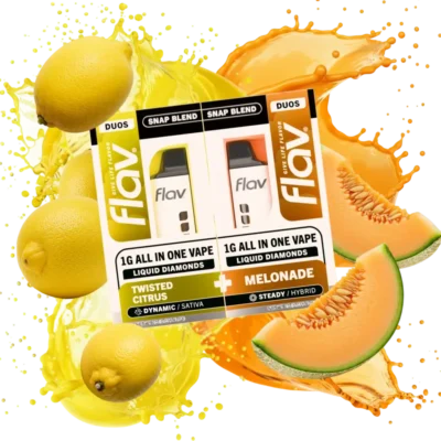 Flav Disposable Melonade – SNAP Duo Vapes 2 g